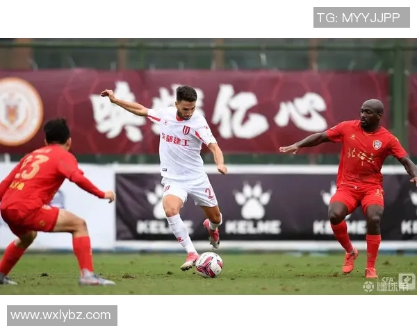 蓝狐擒下森林狼,继续领跑赛区 蓝狐擒下森林狼,继续领跑赛区