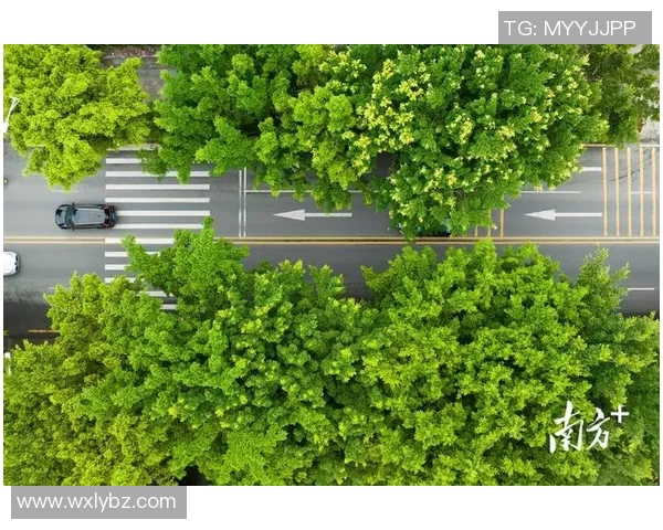 罗马市政府启动城市绿化工程，打造更宜居环境