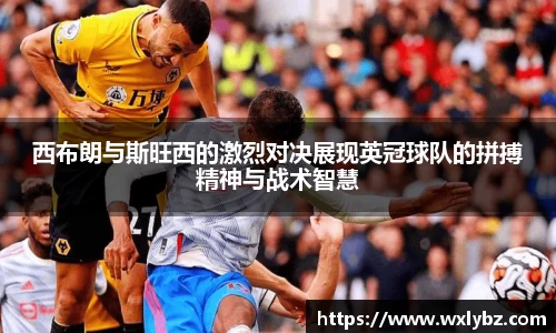 中欧体育手机下载